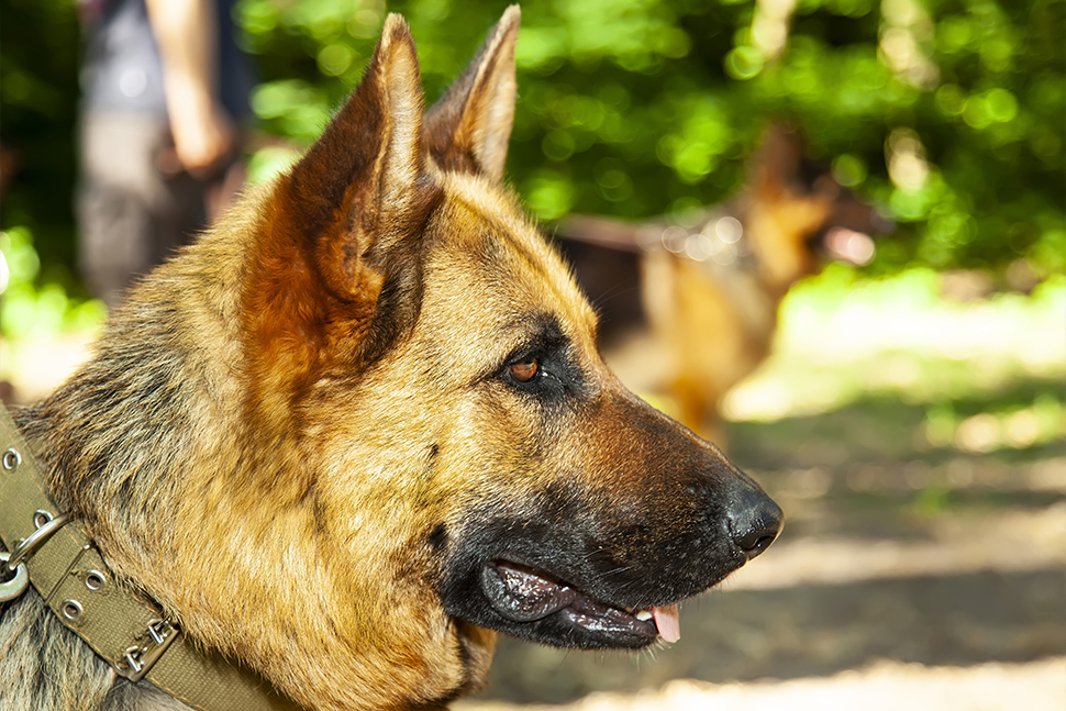 Our Exceptional Solutions Image