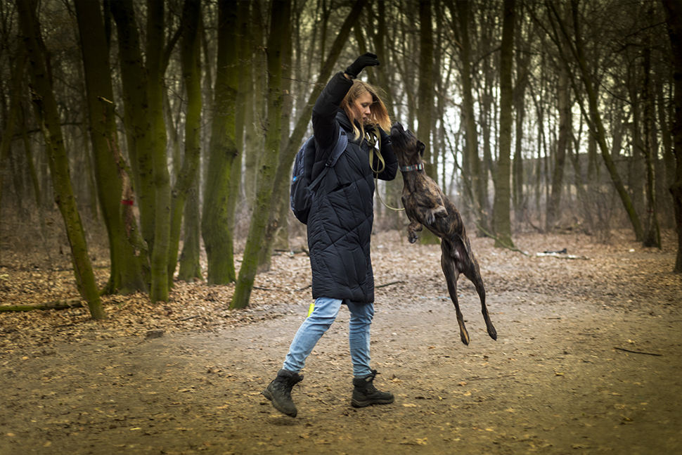 Our Exceptional Solutions Image