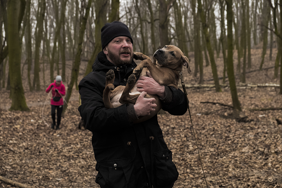 Our Exceptional Solutions Image