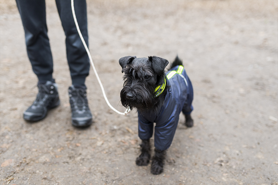 Our Exceptional Solutions Image