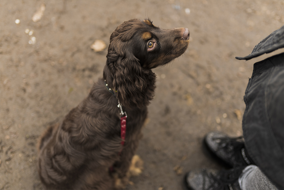 Our Exceptional Solutions Image