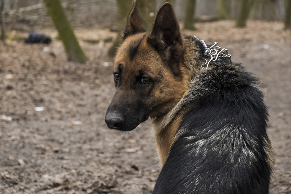 Our Exceptional Solutions Image