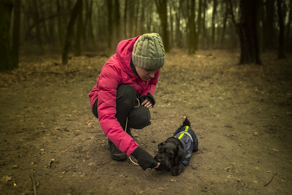 Our Exceptional Solutions Image