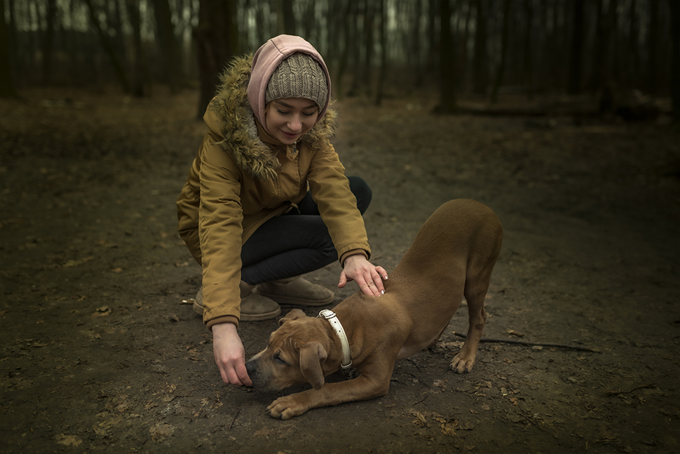 Our Exceptional Solutions Image