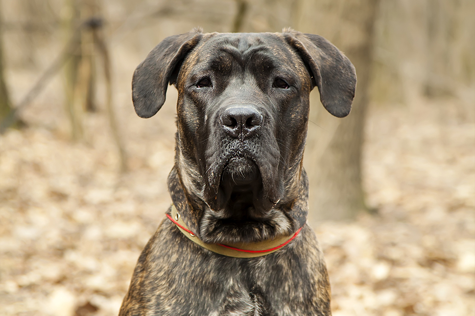 Our Exceptional Solutions Image