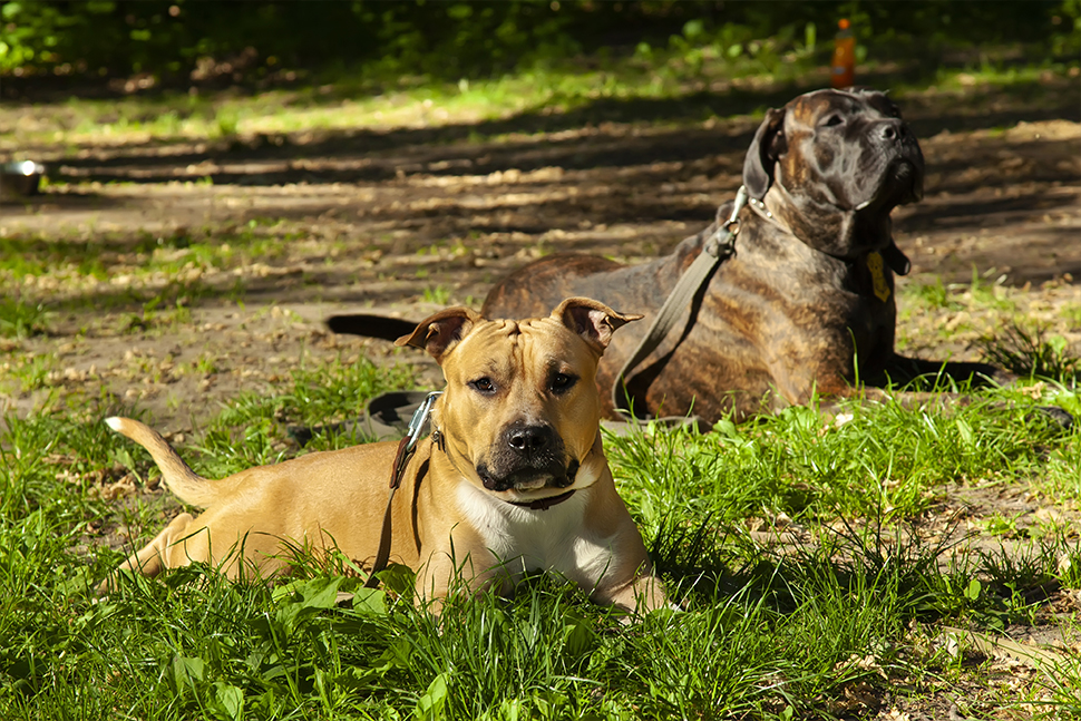 Our Exceptional Solutions Image