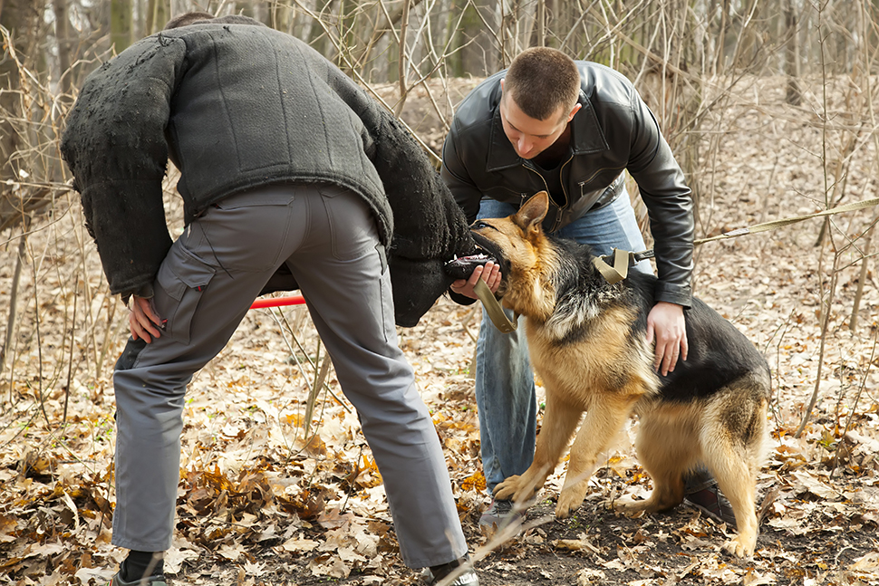 Our Exceptional Solutions Image