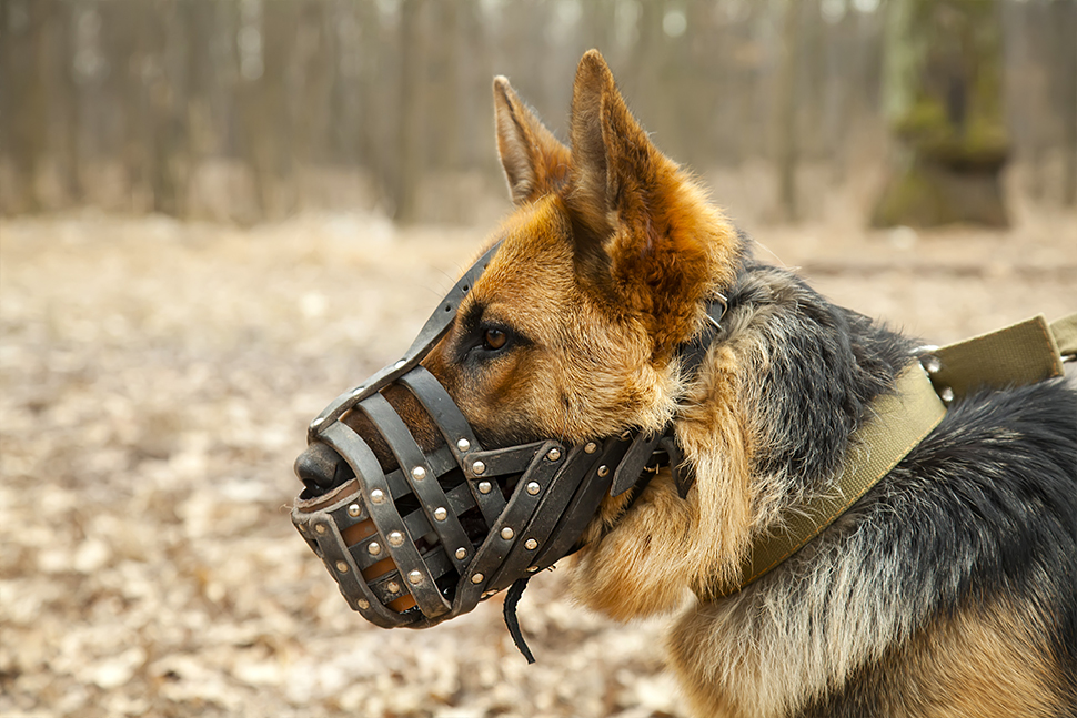 Our Exceptional Solutions Image