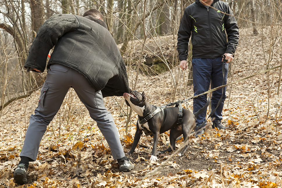 Our Exceptional Solutions Image